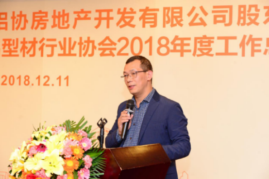 協(xié)會(huì)秘書長蘇天杰作《2018年度協(xié)會(huì)工作報(bào)告》