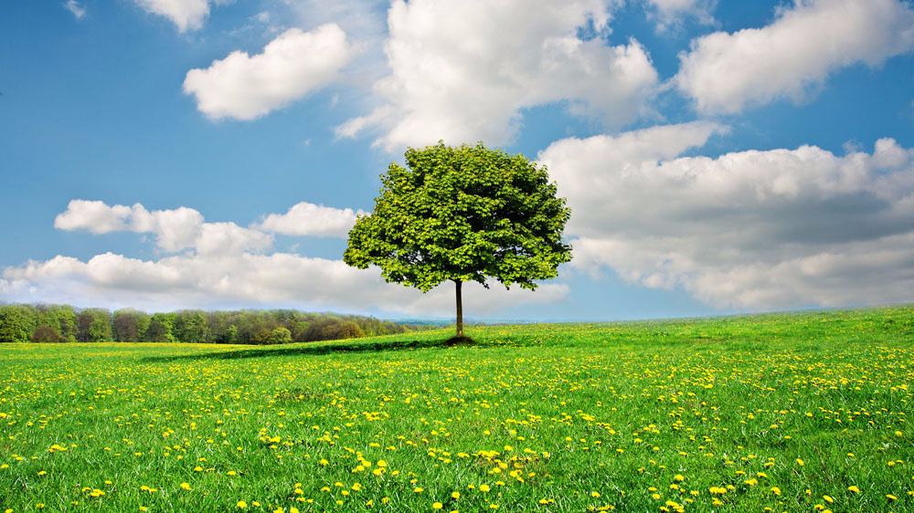 廣東有51家企業(yè)可以申請(qǐng)銅鋁廢碎料進(jìn)口批文